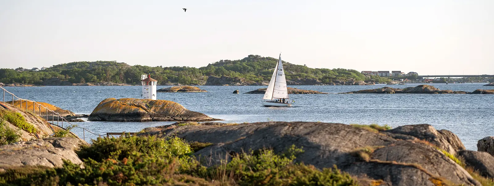 Fördelar och nackdelar med att samäga ett landställe